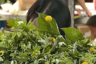 ⚡️太强啦！雷霆战绩反超森林狼登顶西部第一